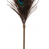 Peacock Tickler Rose Gold